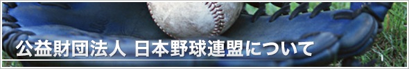 財団法人 日本野球連盟について